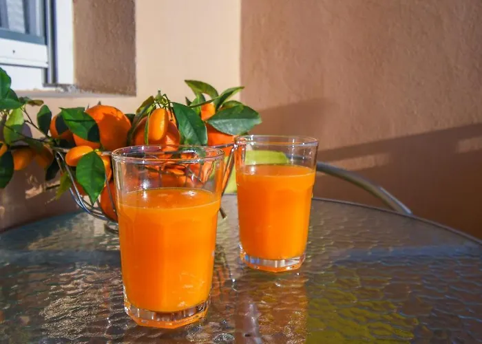 Ema 公寓 Opuzen (Dubrovnik-Neretva)